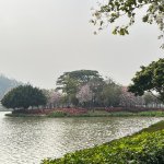 无敌啦加速客户端免费游戏加速服务器-第2张图片-太平洋在线下载